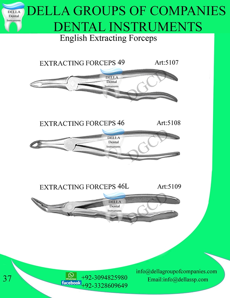 English Extracting Forceps